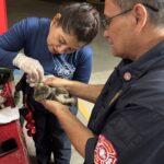 BOMBEROS DEL MUNICIPIO DE AGUASCALIENTES RESCATA UNOS MININOS