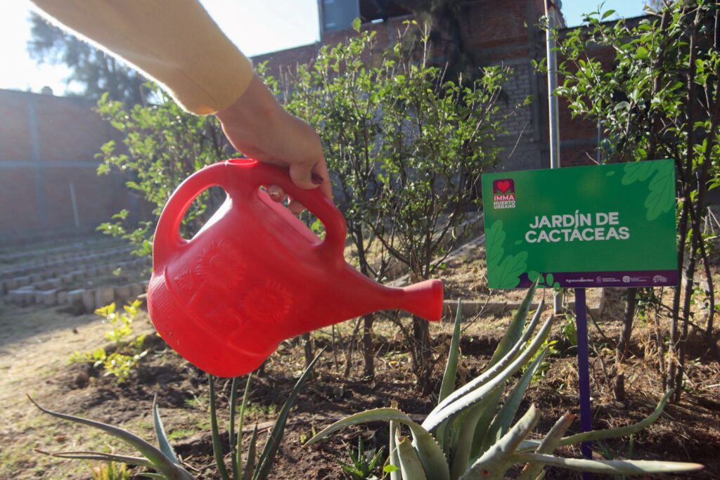 MUNICIPIO PONE A DISPOSICIÓN SERVICIOS GRATUITOS DE LA CASA DE LA MUJER INSURGENTES